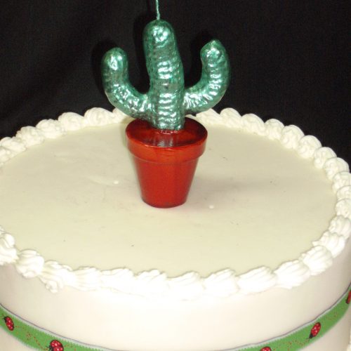 CACTUS